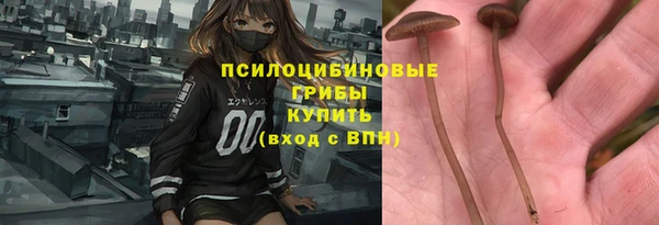 героин Богданович