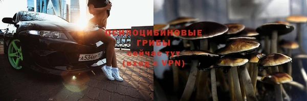 дмт Богородицк