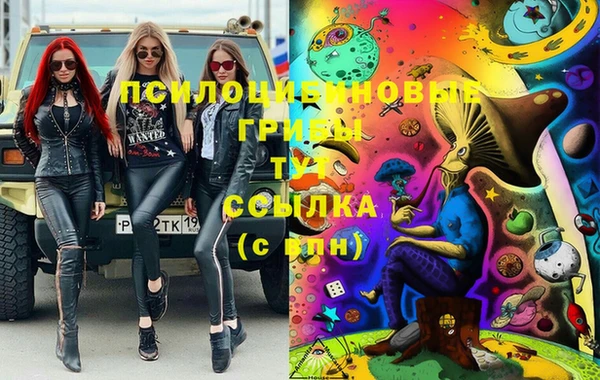 героин Богданович
