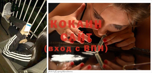 дмт Богородицк
