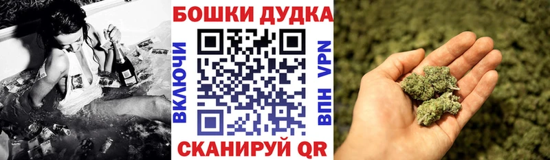 KRAKEN ТОР  наркотики  Чернушка  Канабис тримм 